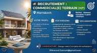 Commercial(e) Prospection de Terrain