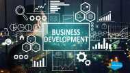 Business Development & Commercial