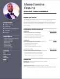 Candidature...