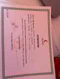 Assistante dentaire diplômée cherche emploi