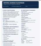 Technicienne en Informatique