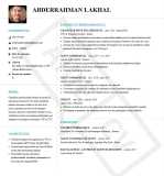 Chauffeur Professionnel 