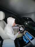 Chauffeur Professionnel 