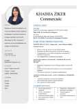 Commerciale