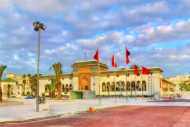 À vendre – Terrain R+2 de 27 000 m2 à Jemaa Fedala