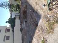 Terrain  a Mediona