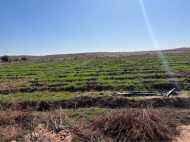 Terrain Agricole À vendre 18 hectares prix negocia