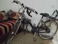 🚲 Pícala à vendre
