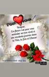 Homme cherche femme 