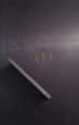 iPhone 5s Silver Black emprunte digitale