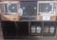 Cages timbrado