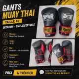 Gants de boxe professionnels 