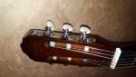 Ventre guitar Vizcaya Tradicion Espanola
