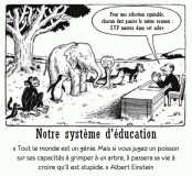 Cours d'arabe 