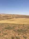 Terrain à louer 