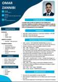 Chauffeur à la recherche d'emploi